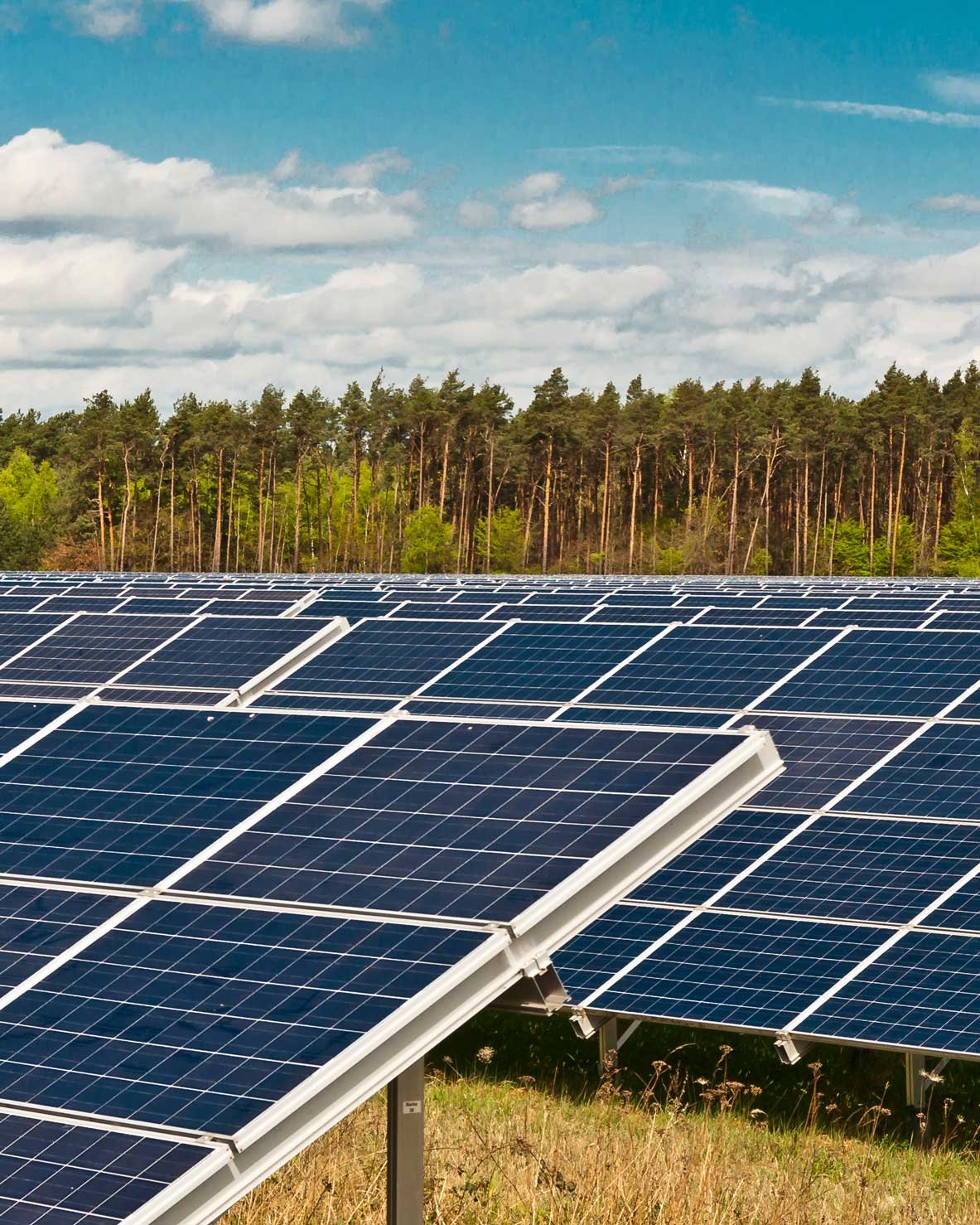 PV-Freiflächenanlage vor Wald